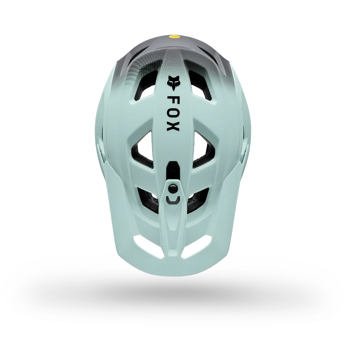 Speedframe Pro Backfade CE