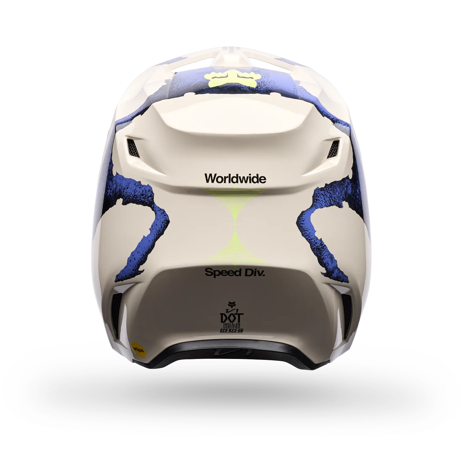 V1 Awareness LE Helmet