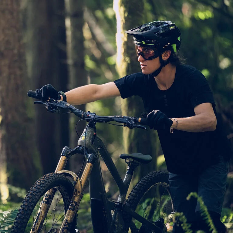 Load video: Lunar Collection