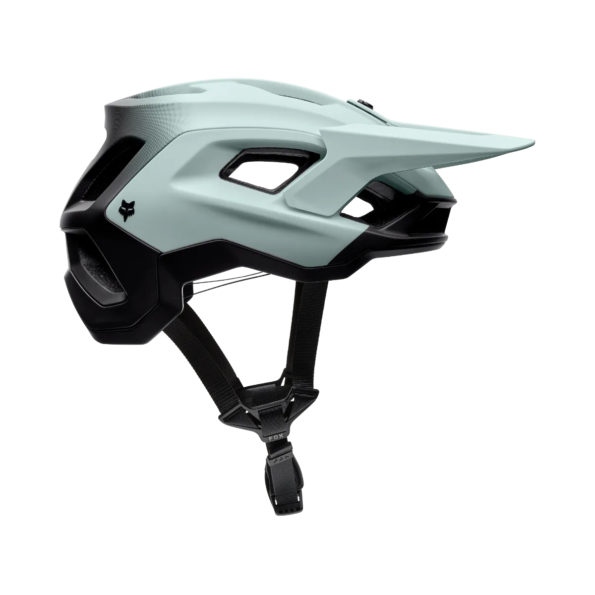 Speedframe Pro Backfade CE