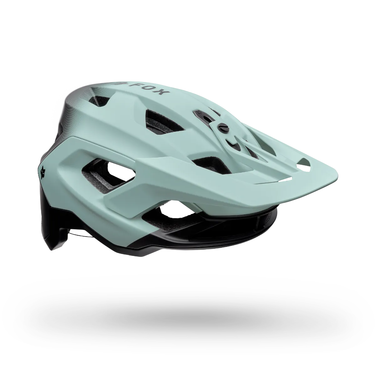 Speedframe Pro Backfade CE